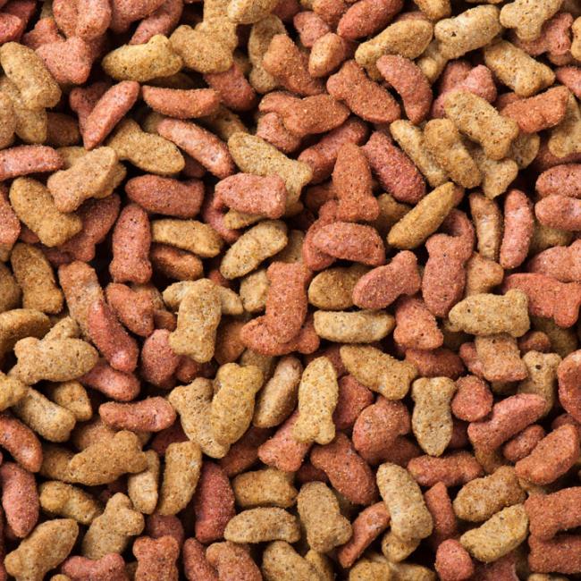 catfood-04.jpg