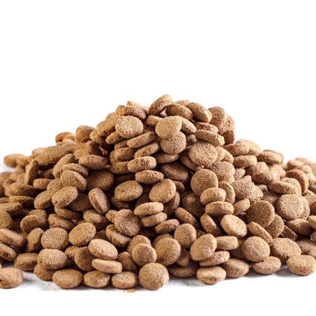 dog-food-08.jpg